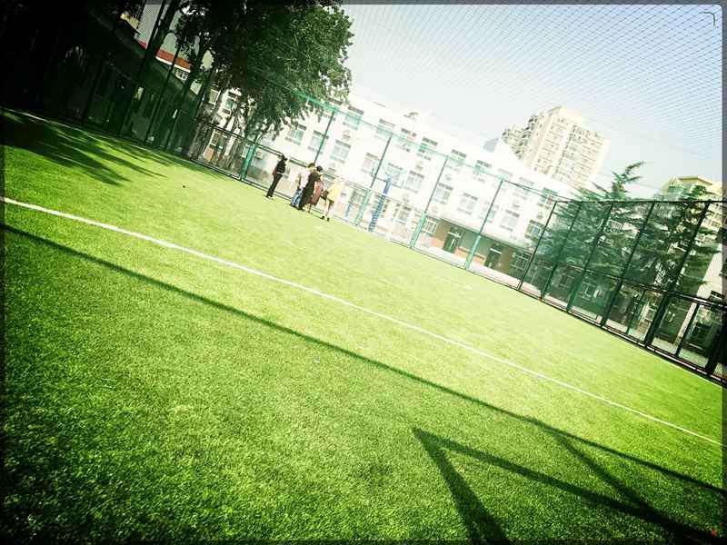 学校网式足球场