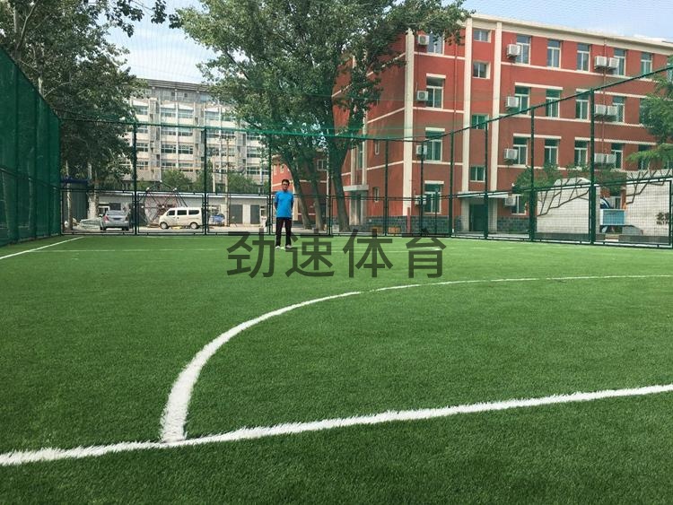 图片14