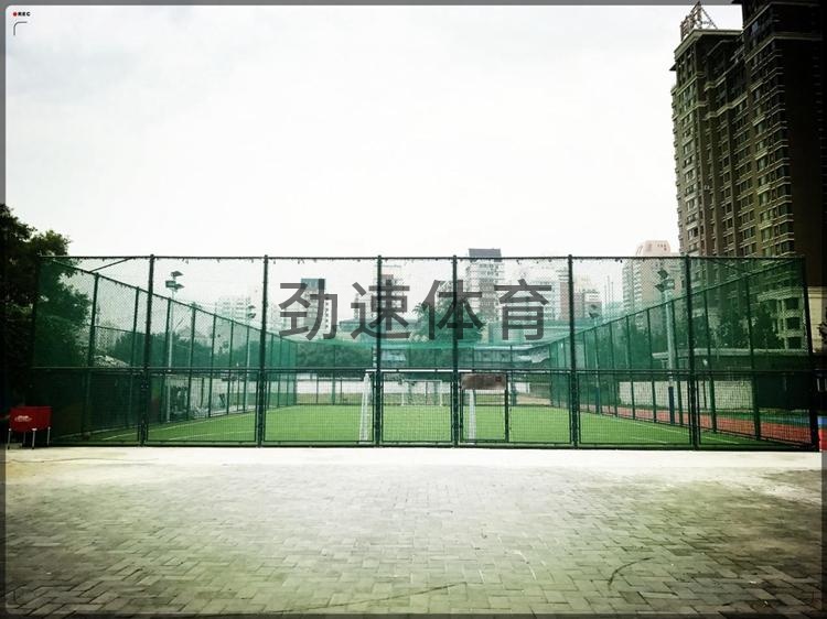 图片17