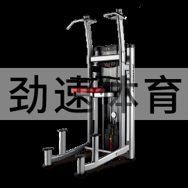 TT辅助式引体向上训练器