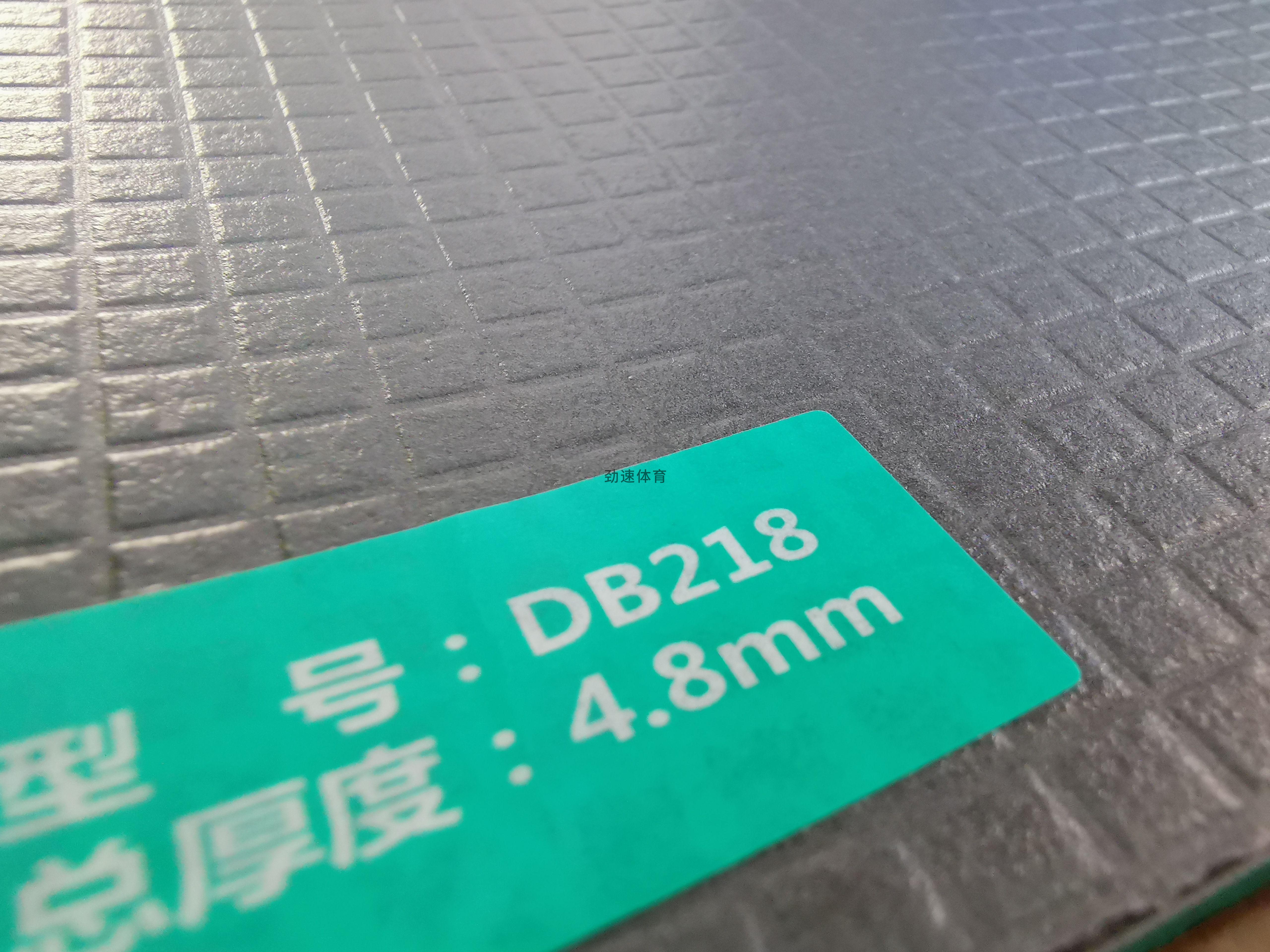 DB218-4(1)