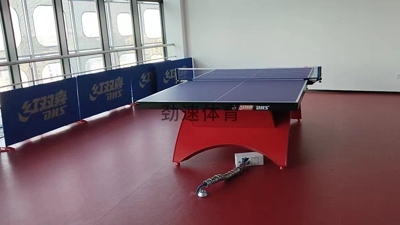体育器材，红双喜乒乓球台桌